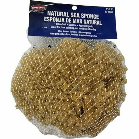 DYNAMIC PAINT PRODUCTS Dynamic Natural Sea Sponge 7 in. - 7.5 in. 17-19cm 00008